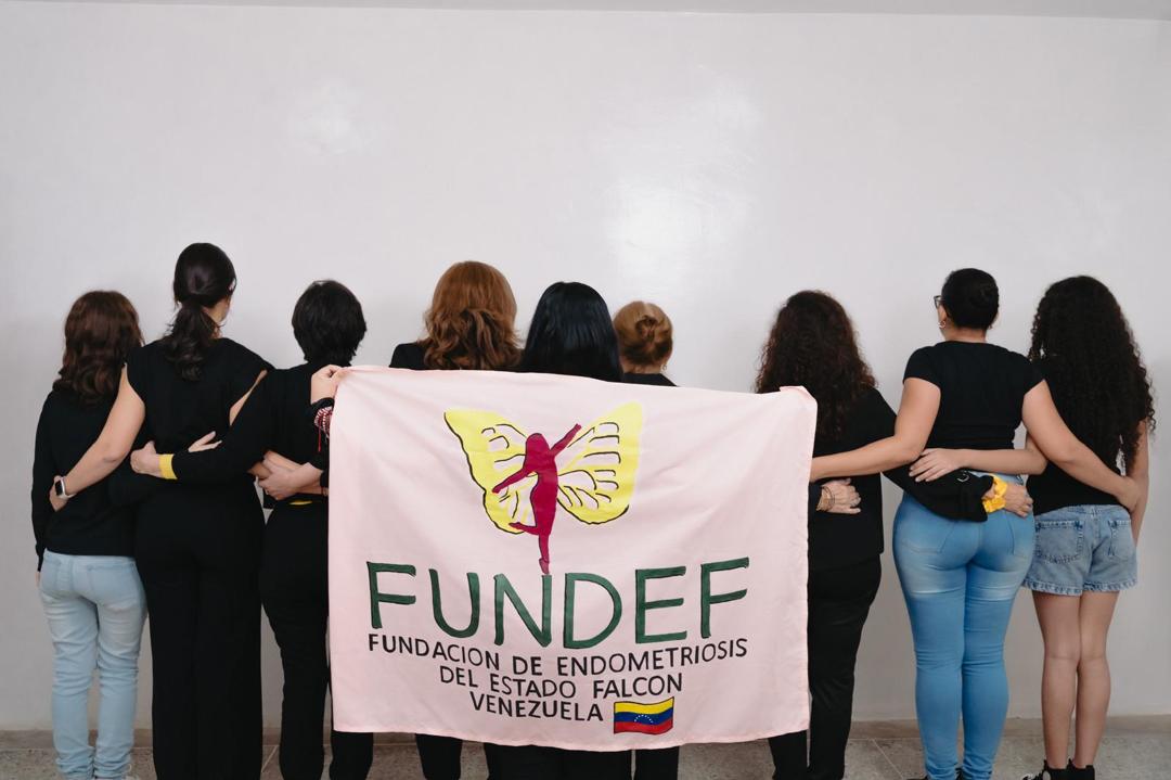 Proyecto FUNDEF — sitio institucional para Fundación de Endometriosis de Falcón, diseñado por Vantia Digital Lab